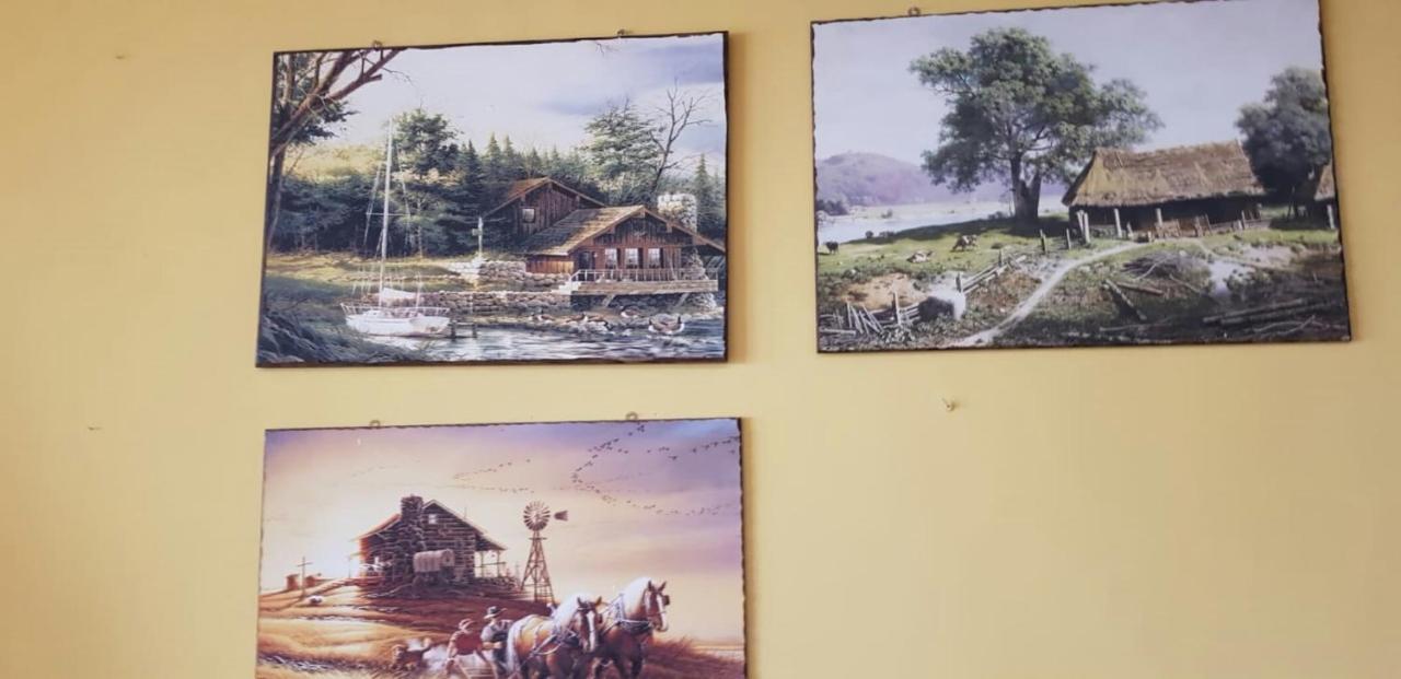 Leyla Hostel Brassó Kültér fotó