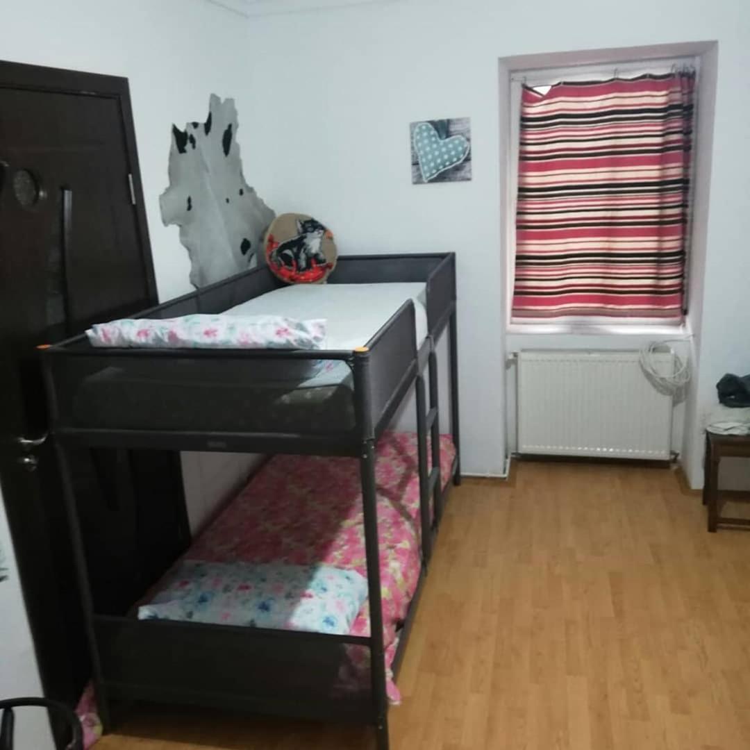 Leyla Hostel Brassó Kültér fotó