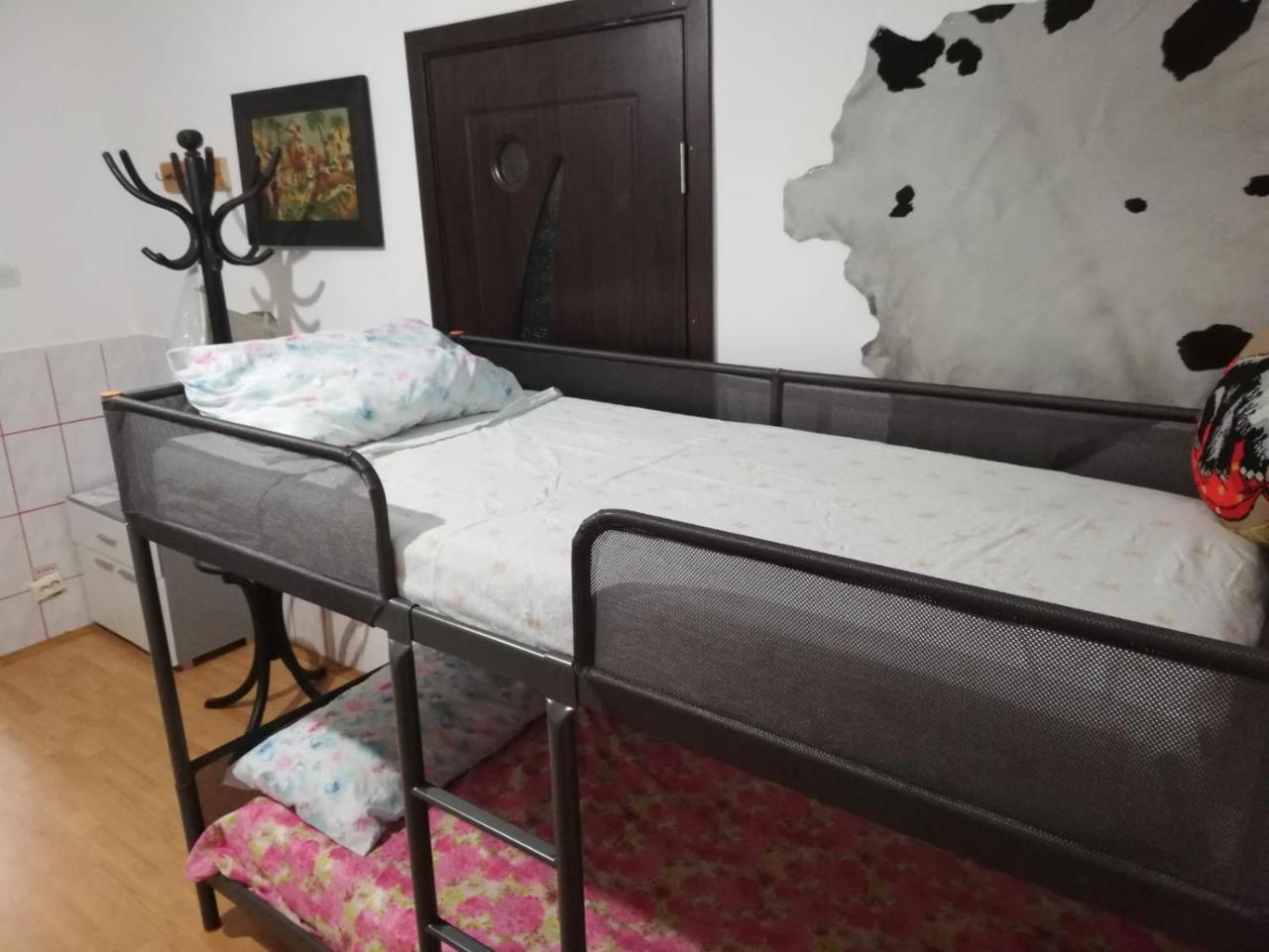 Leyla Hostel Brassó Kültér fotó