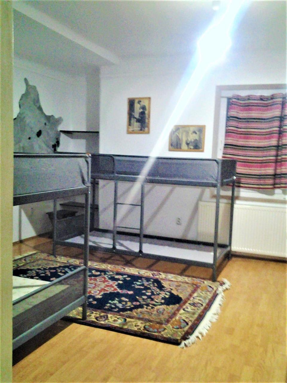 Leyla Hostel Brassó Kültér fotó